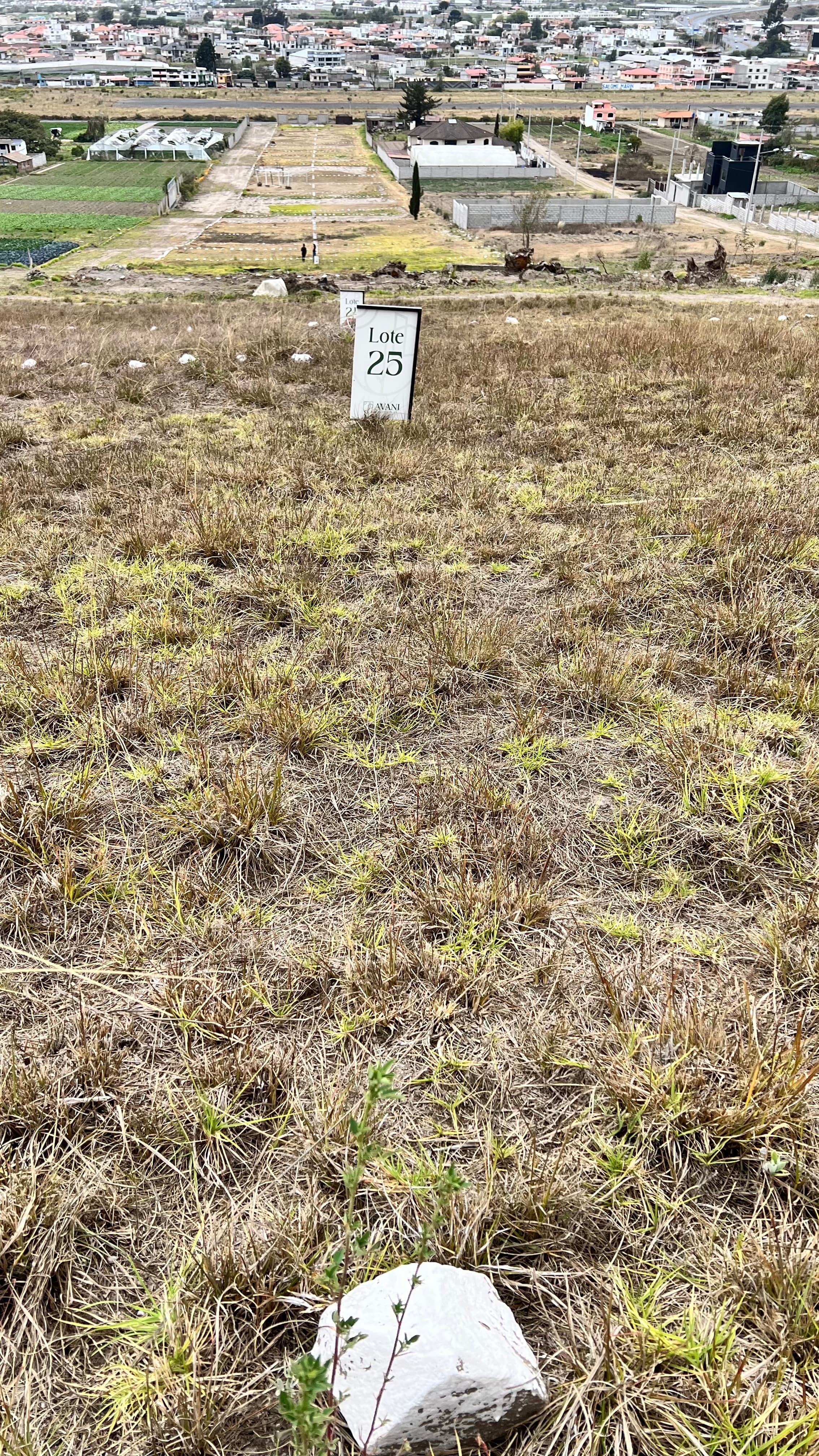 TERRENO EN AMBATO IZAMBA — foto 3